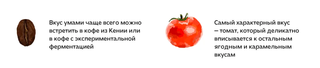 томат.png томат.png