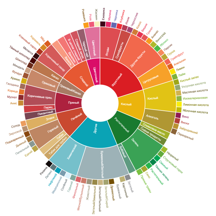 Как устроено колесо вкусов кофе и зачем оно вам