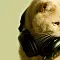 Lozitskaya.m133@gmail.com