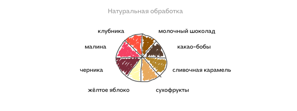 Цветовои круг вкусов натуральнои обработки.png