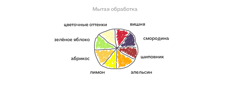 Цветовои круг вкусов мытои обработки.png