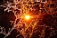 Вячеслав